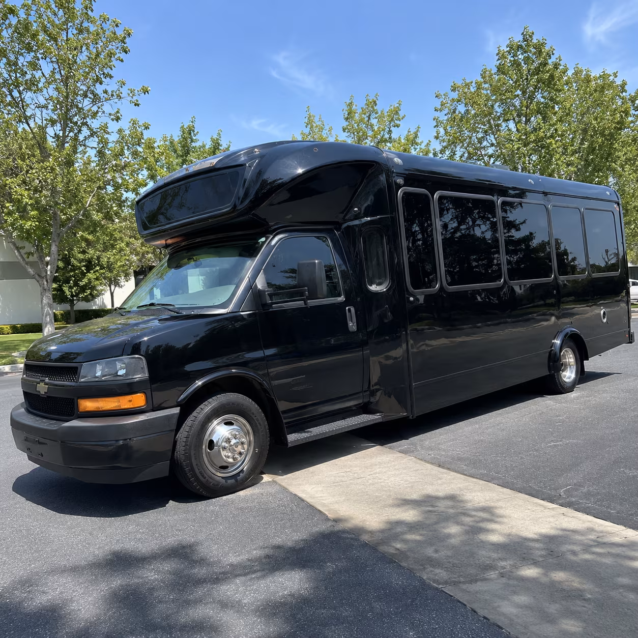 alexandria 15 passenger party bus
