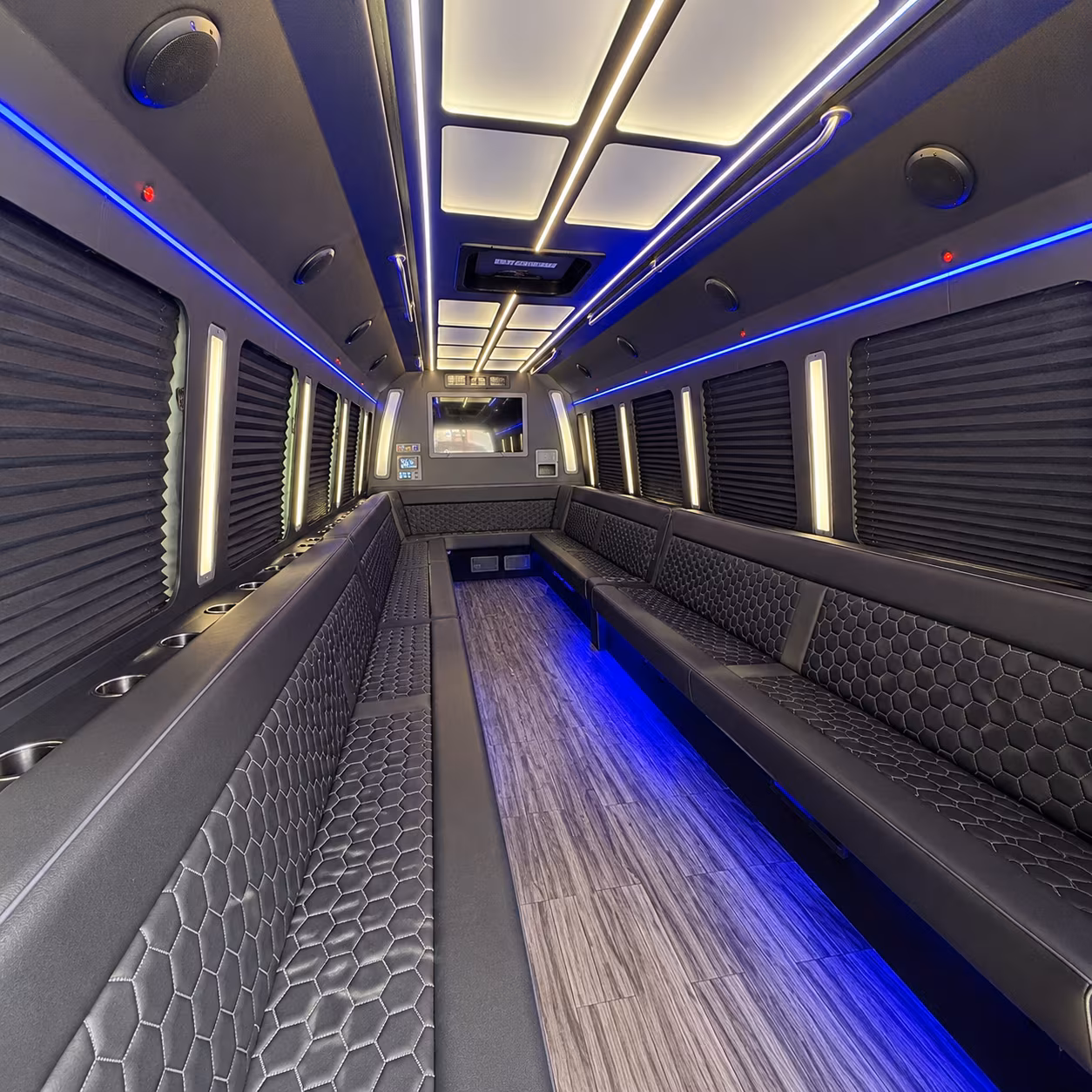 alexandria 30 passenger party bus interior