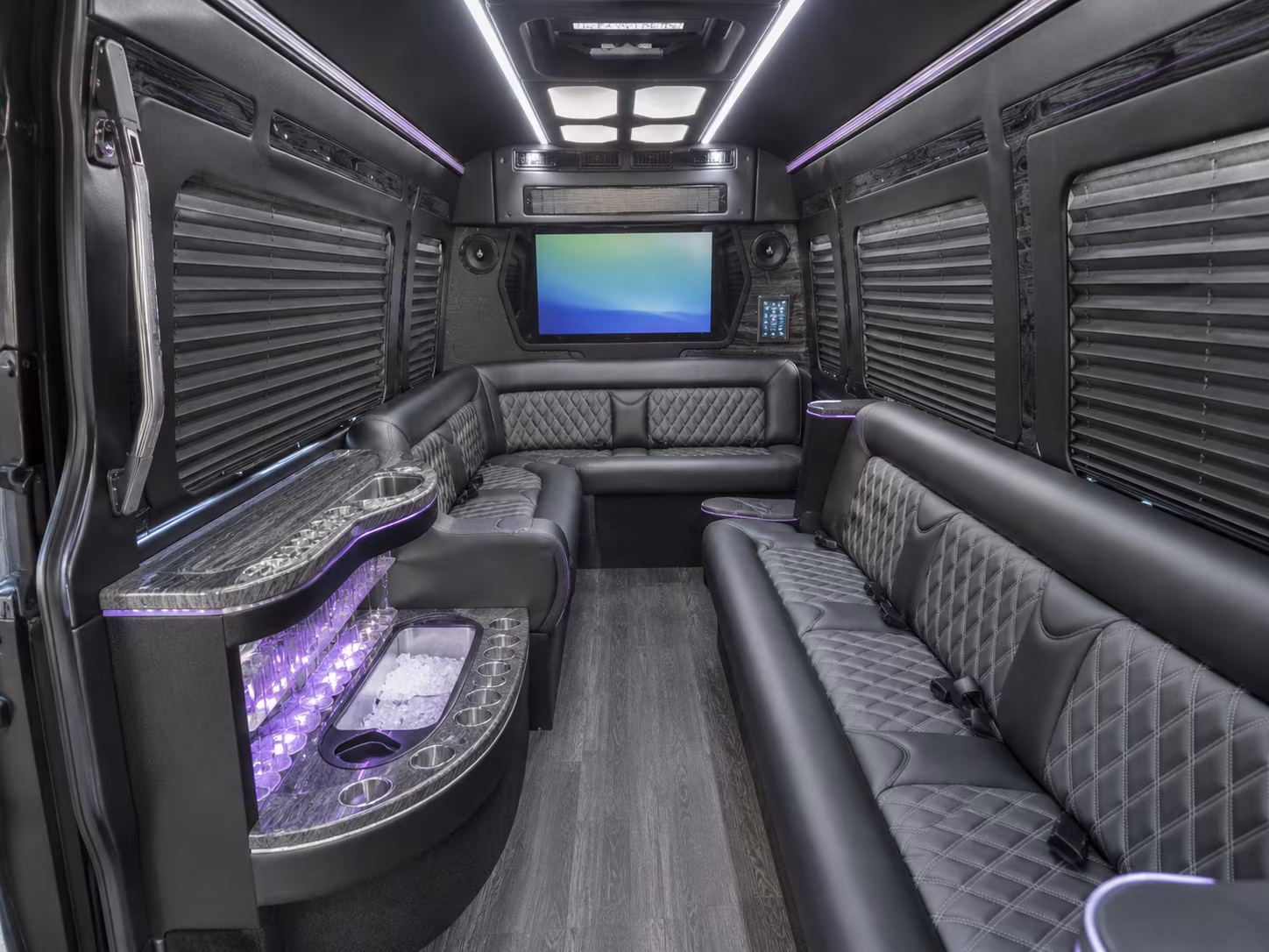 alexandria 30 passenger party bus