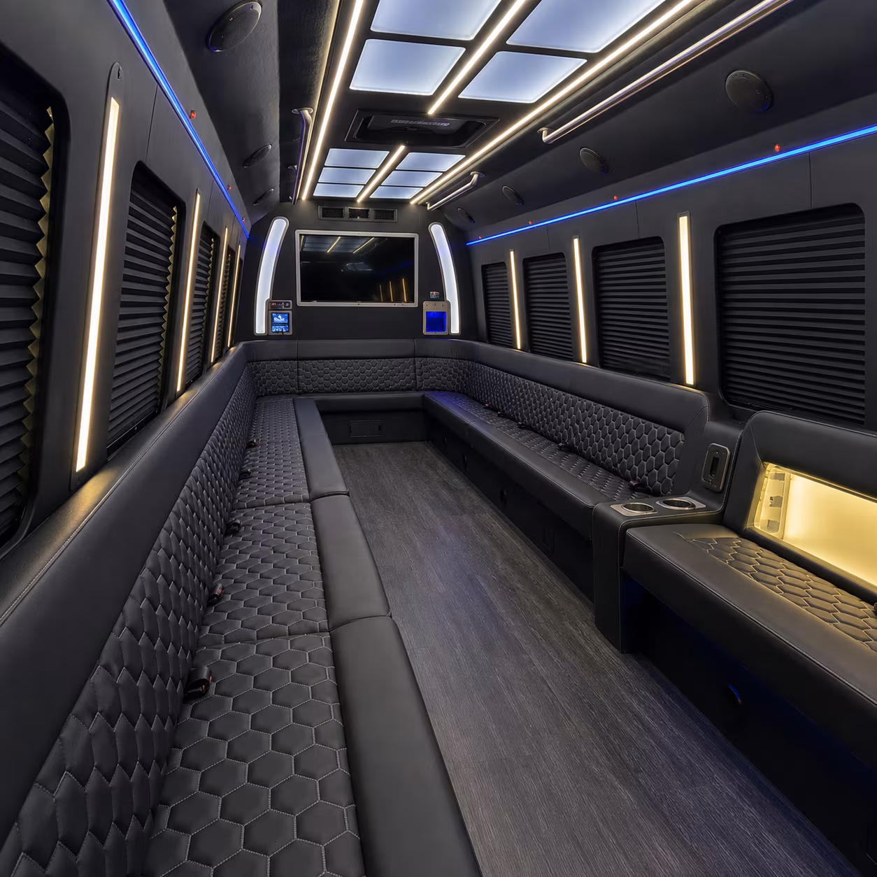 alexandria night out party bus rental