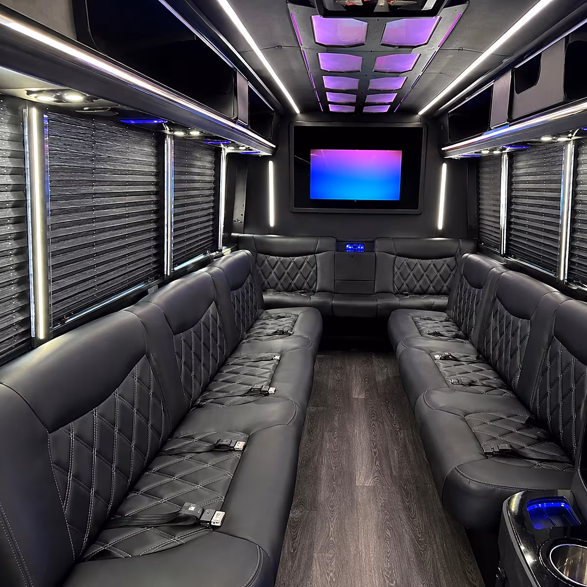 alexandria party bus rental interior
