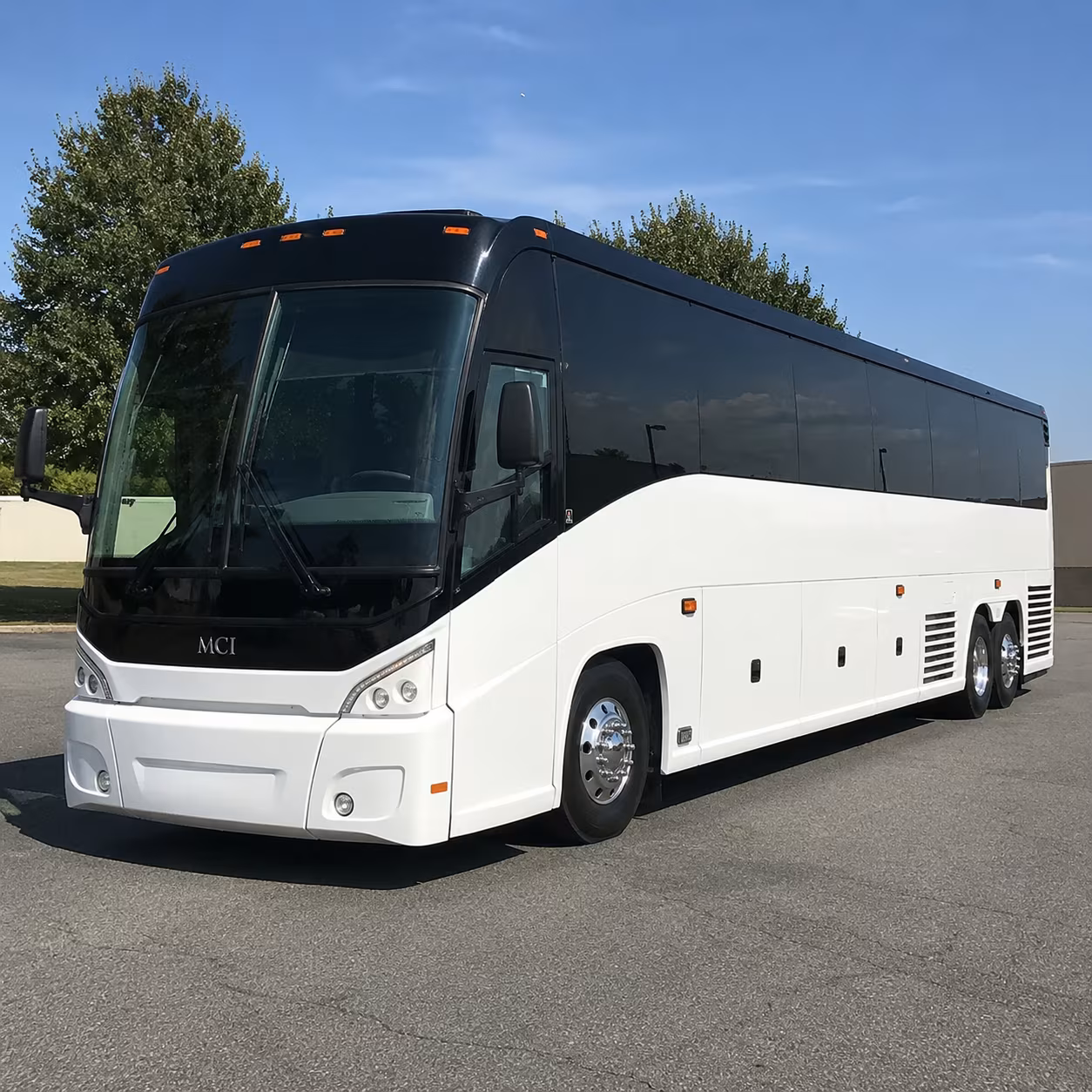 youth group and confirmation class buses serving alexandria